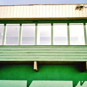 Dover Lynn Fox - "Winter Son"