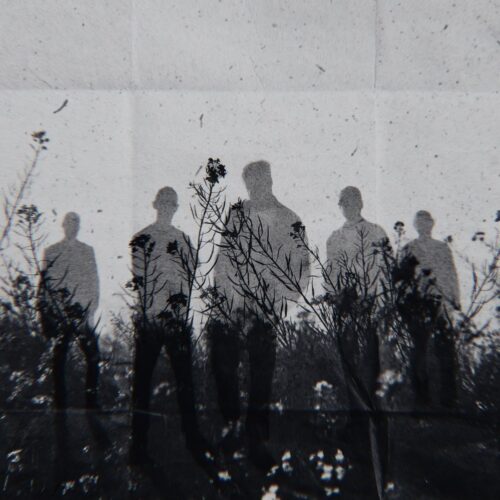 Rain City Drive Releases "Neverbloom" 1