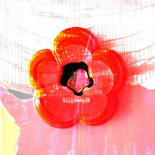 dead motel’s “Palace”: a haunting journey through struggle and resilience