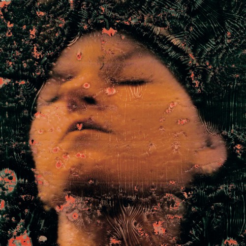 Dutch singer-songwriter la loye releases bittersweet single, “woman”