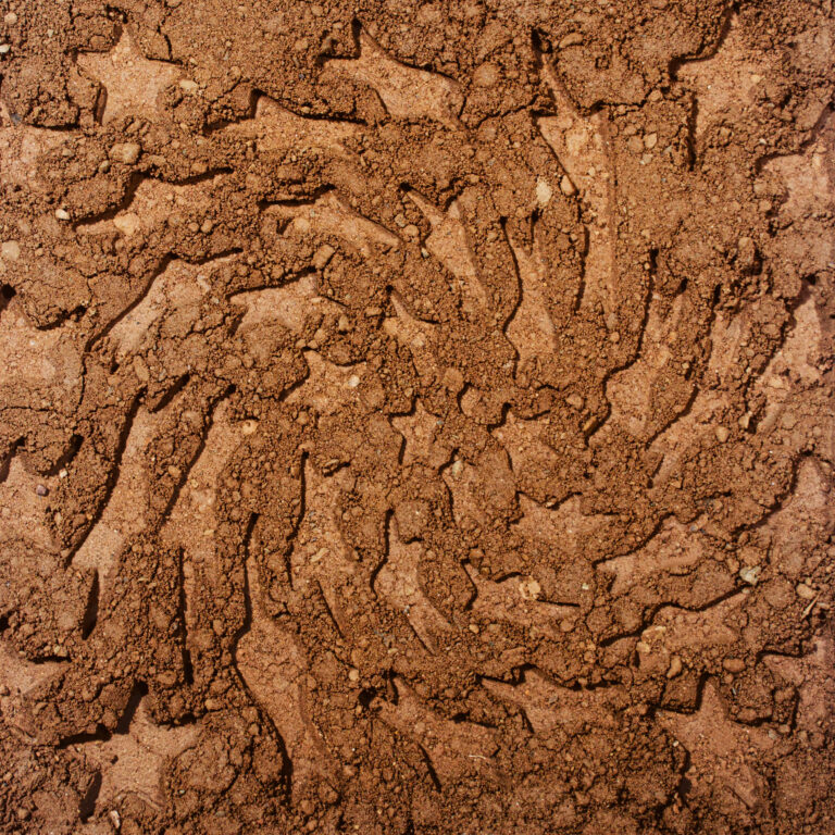 Toro y Moi announces reimagined ‘Unerthed: Hole Erth Unplugged’ to unveil next month