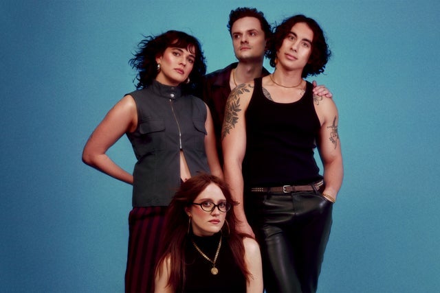 ‘Oh my god, she likеs The Happy Fits!’ Falling in love with the Lovesick single “Do You See Me?”