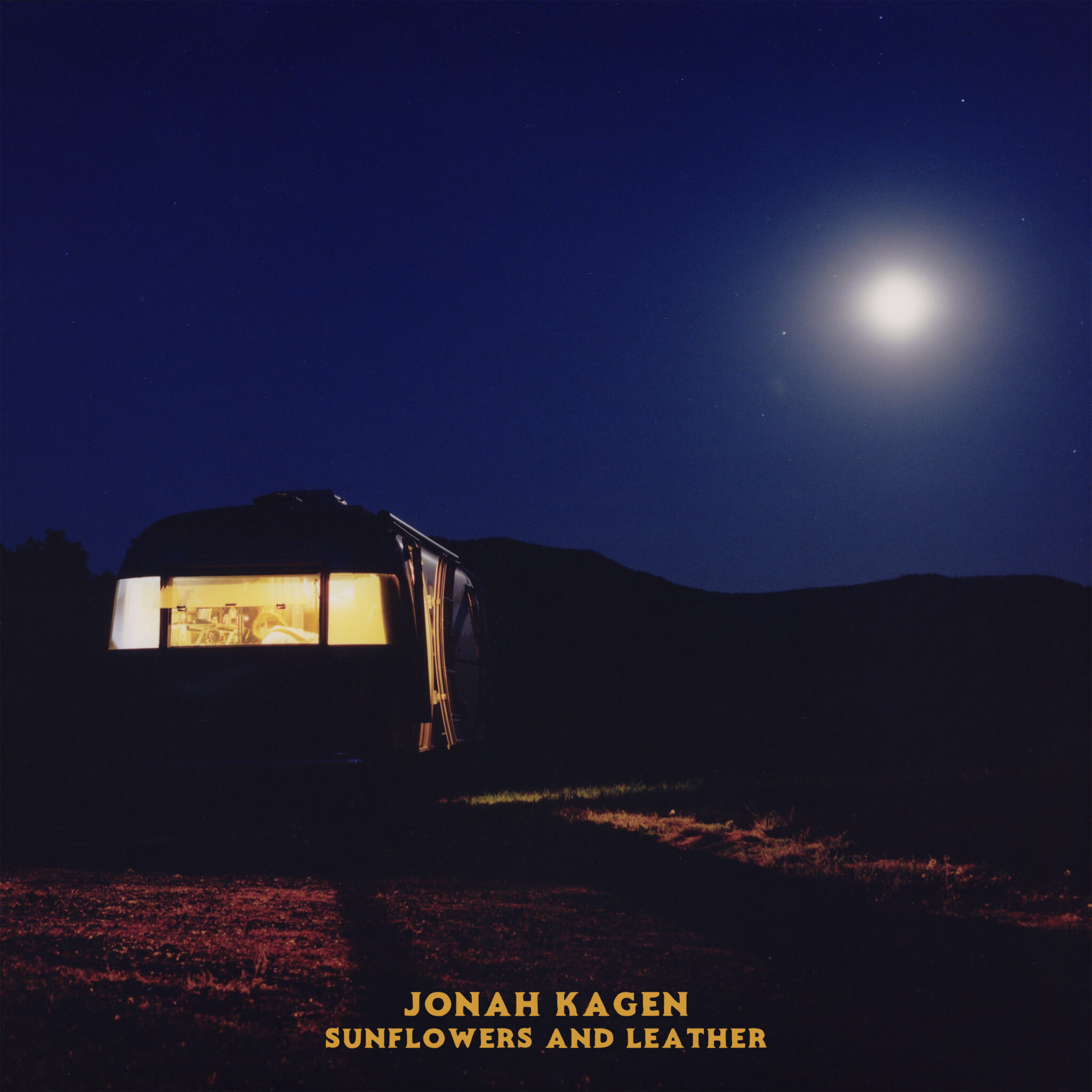 Jonah Kagen finds beauty and pain on debut album ‘Sunflowers and