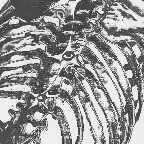 Jenny Kerns releases heart-aching new single  “bones”