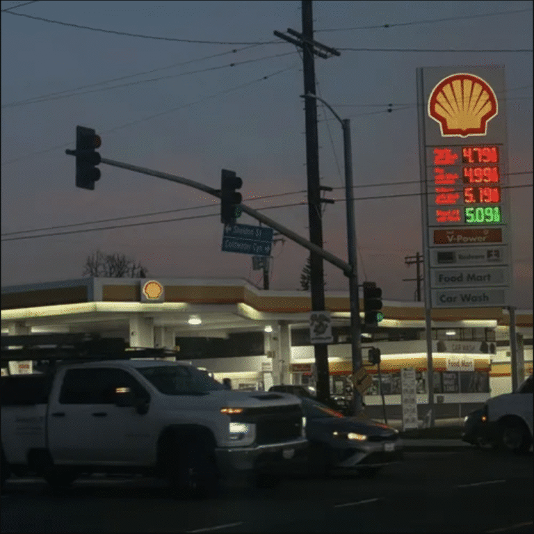 Girl Wilde Releases latest single “could’ve been”