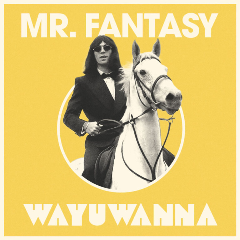 MR. FANTASY has done it again on his sophomore single “WAYUWANNA”