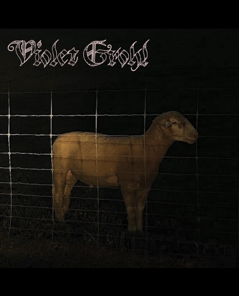 Violet Grohl makes her debut with two new singles “THUM” and “Applefish”