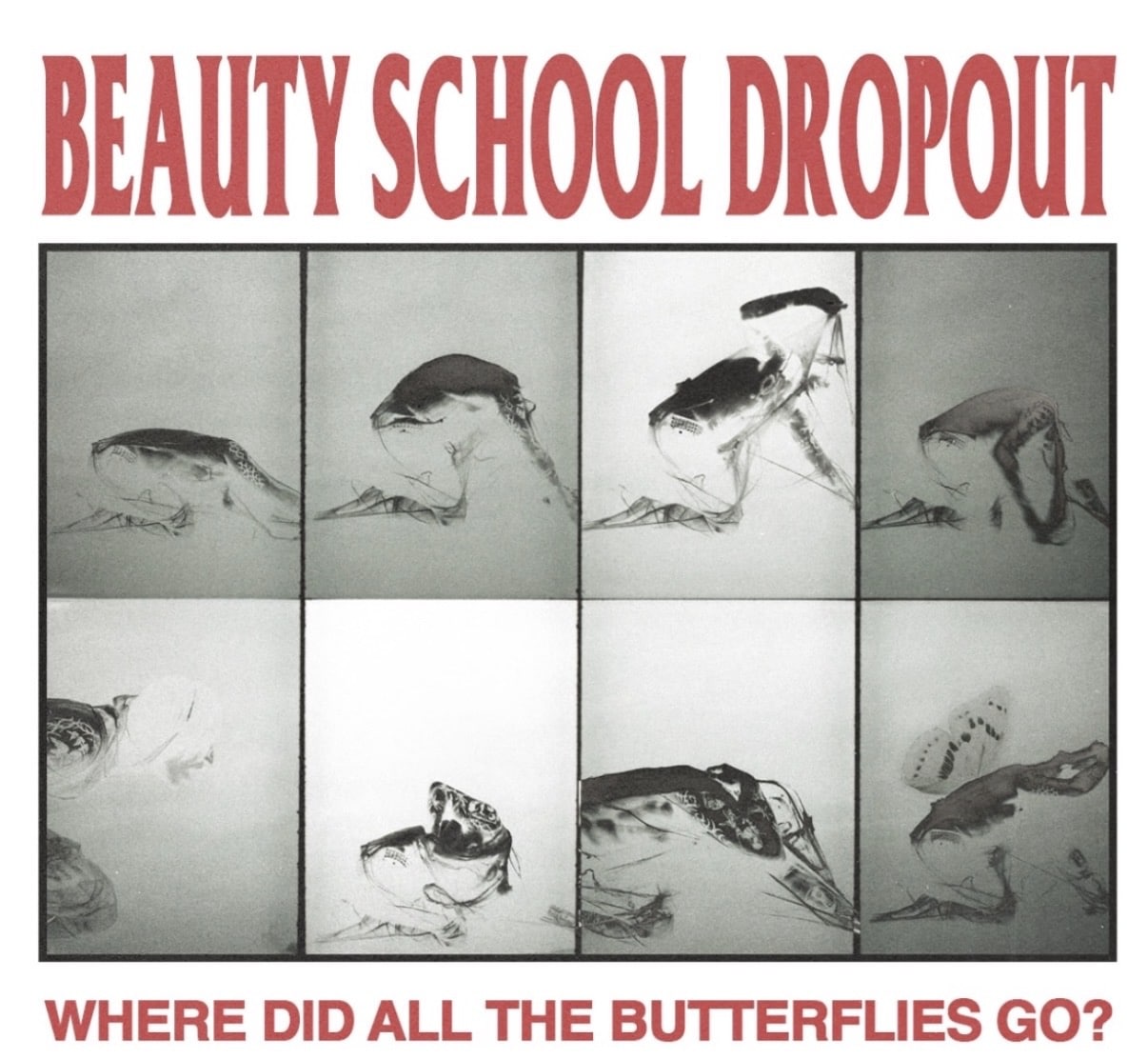 BEAUTY SCHOOL DROPOUT announces tour in support of latest album, ‘WHERE DID ALL THE BUTTERFLIES GO?’