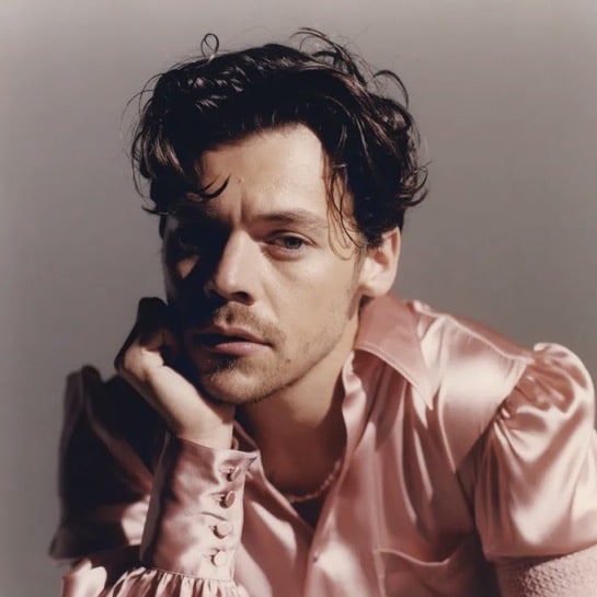 Harry Styles employed?