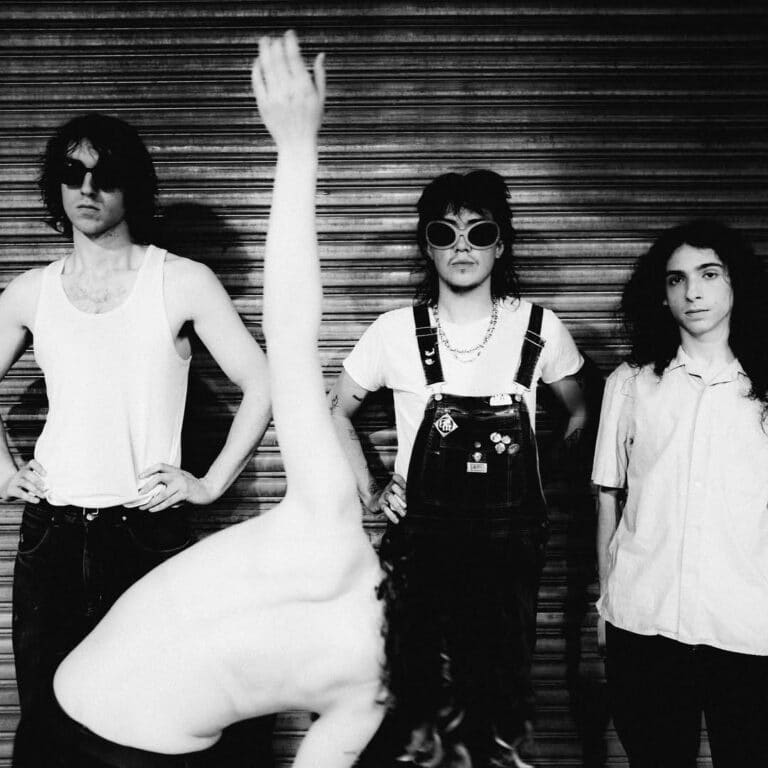 On Your Radar: Geese