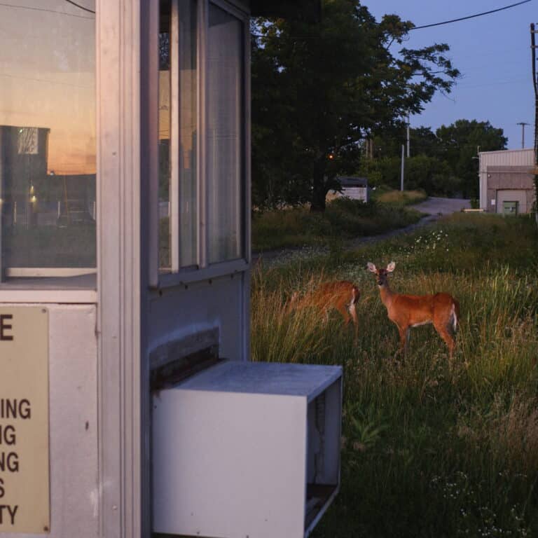 Yebba announces second studio album ‘Jean’, shares new single