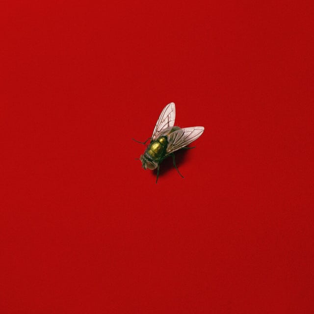 ill peach releases latest single “CULT DADDY”