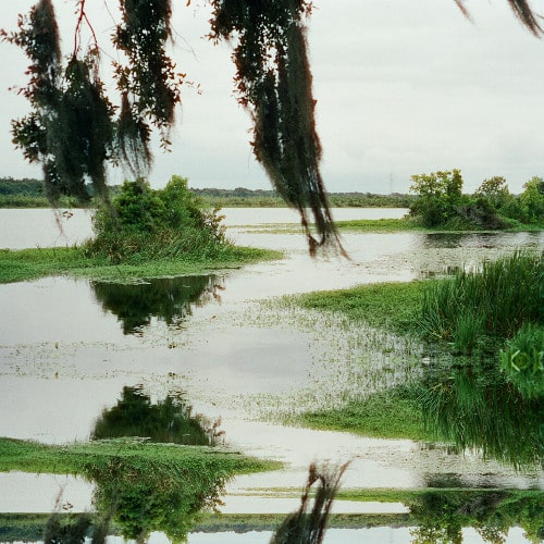 Sasha & The Bear release dreamlike single “Air” from debut album