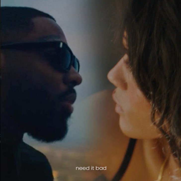 Ama and Brent Faiyaz’s track “Need It Bad” is for the R&B lovers