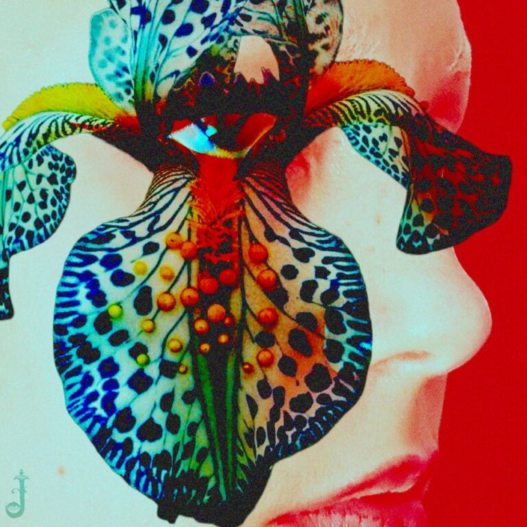 JULITH resurrects a strength and resilience from her past on ‘This Is A Kindness’ – EP Review